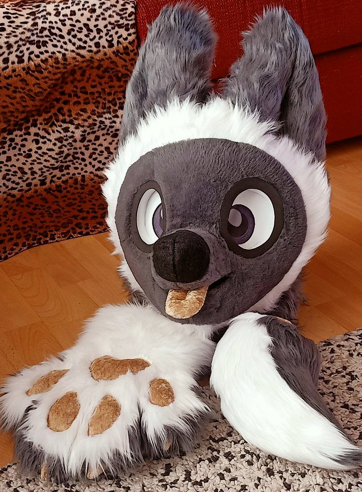 🌮DORITO DOGGO🌮 tweet media