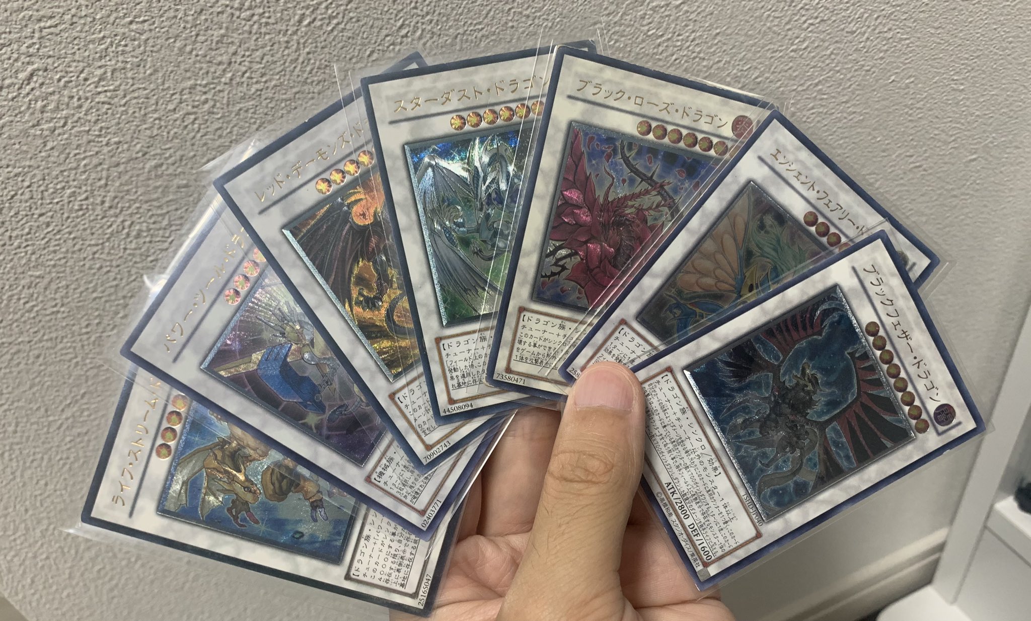 田*中様 遊戯王 5D's シグナー6竜 旧レリーフ 6枚セット 遊戯王 5D's シグナー竜 レリーフ6枚セット