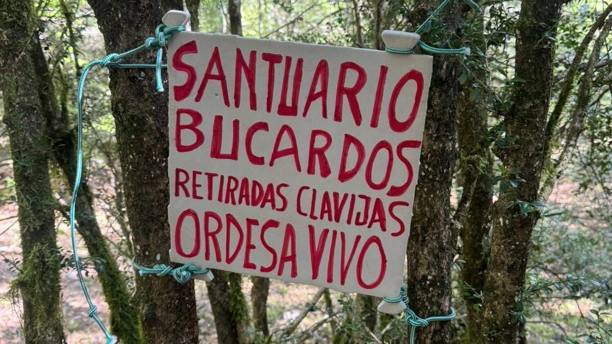 cope_jaca's tweet image. Detenidos por la destrucción de las clavijas de Cotatuero en Ordesa 
👇👇👇
ver.cope.es/8ng5l2