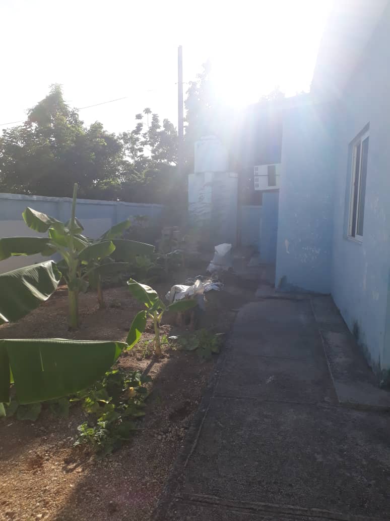 Limpieza y embellecimiento de las áreas verdes de nuestra instalación