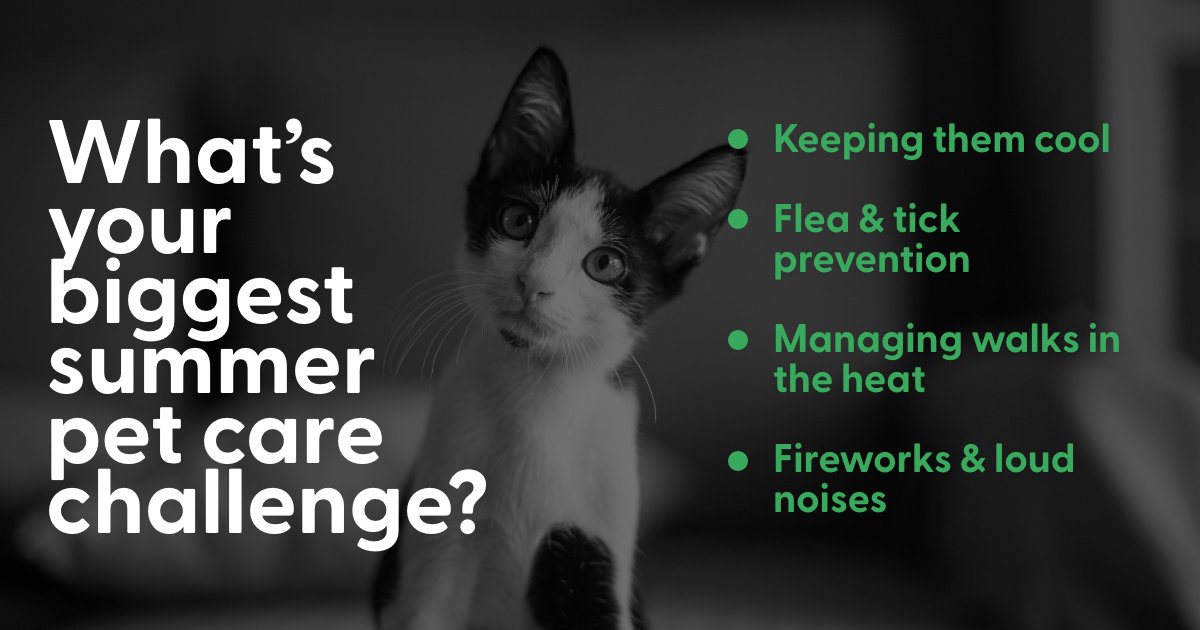What’s your biggest summer pet care challenge? Reply with your top pick!