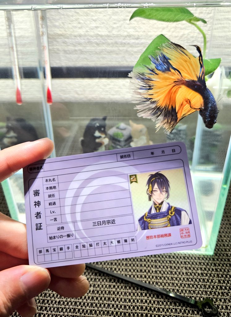 retronium0102's tweet image. 無事に発行されました！
今後とも精一杯努めて参ります。