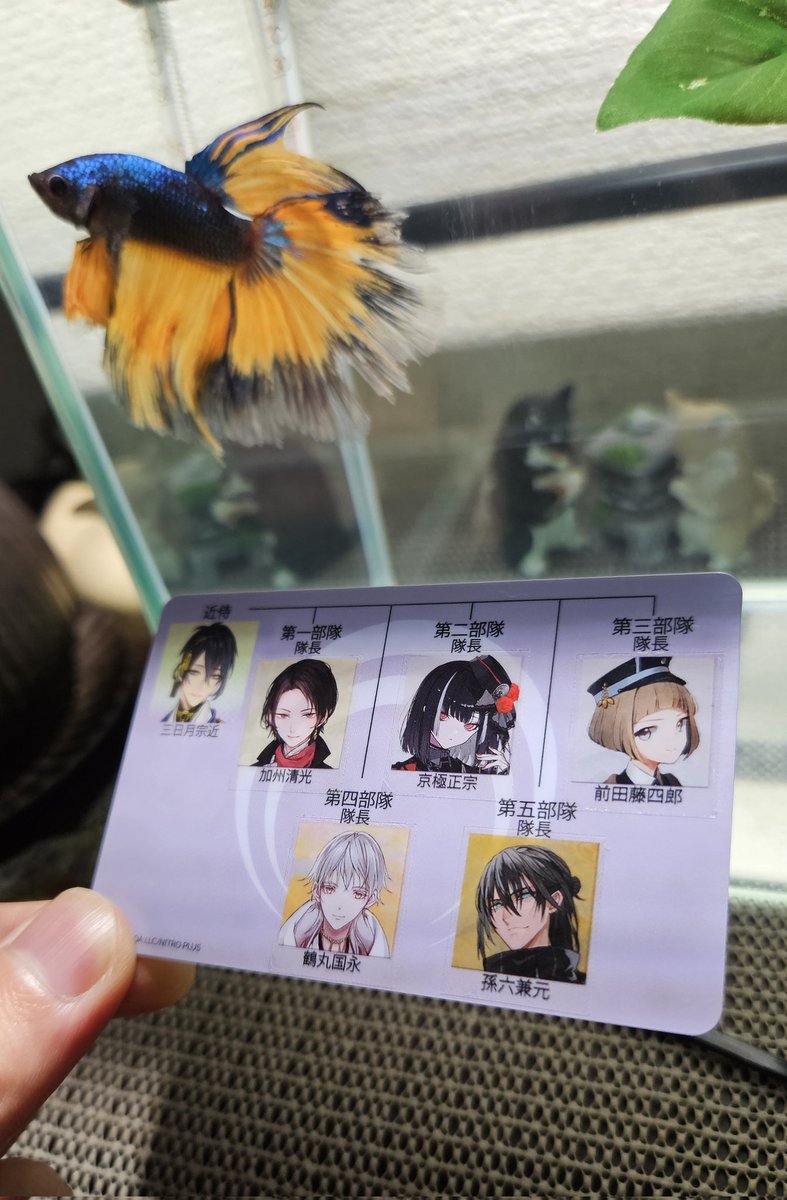 retronium0102's tweet image. 無事に発行されました！
今後とも精一杯努めて参ります。