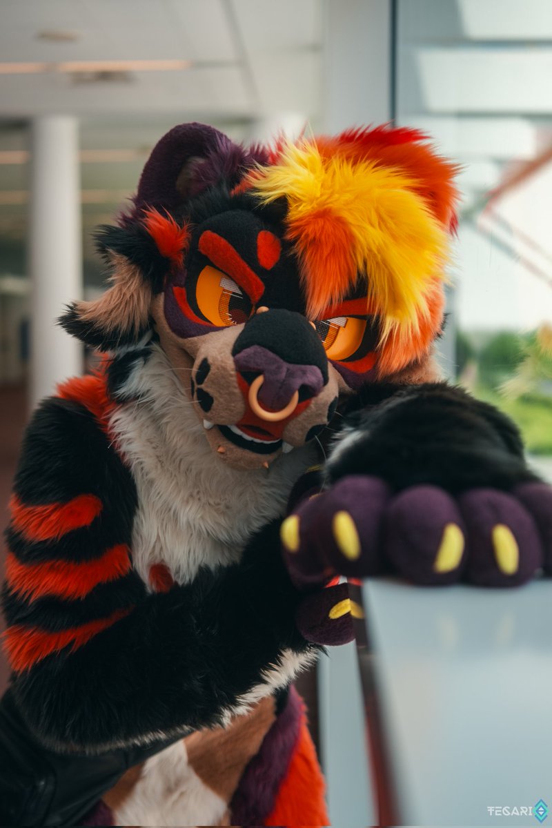 Scarburne's tweet image. something something melon pose
#FursuitFriday
🧵: @sheenitude
📸 : @tecariowolf