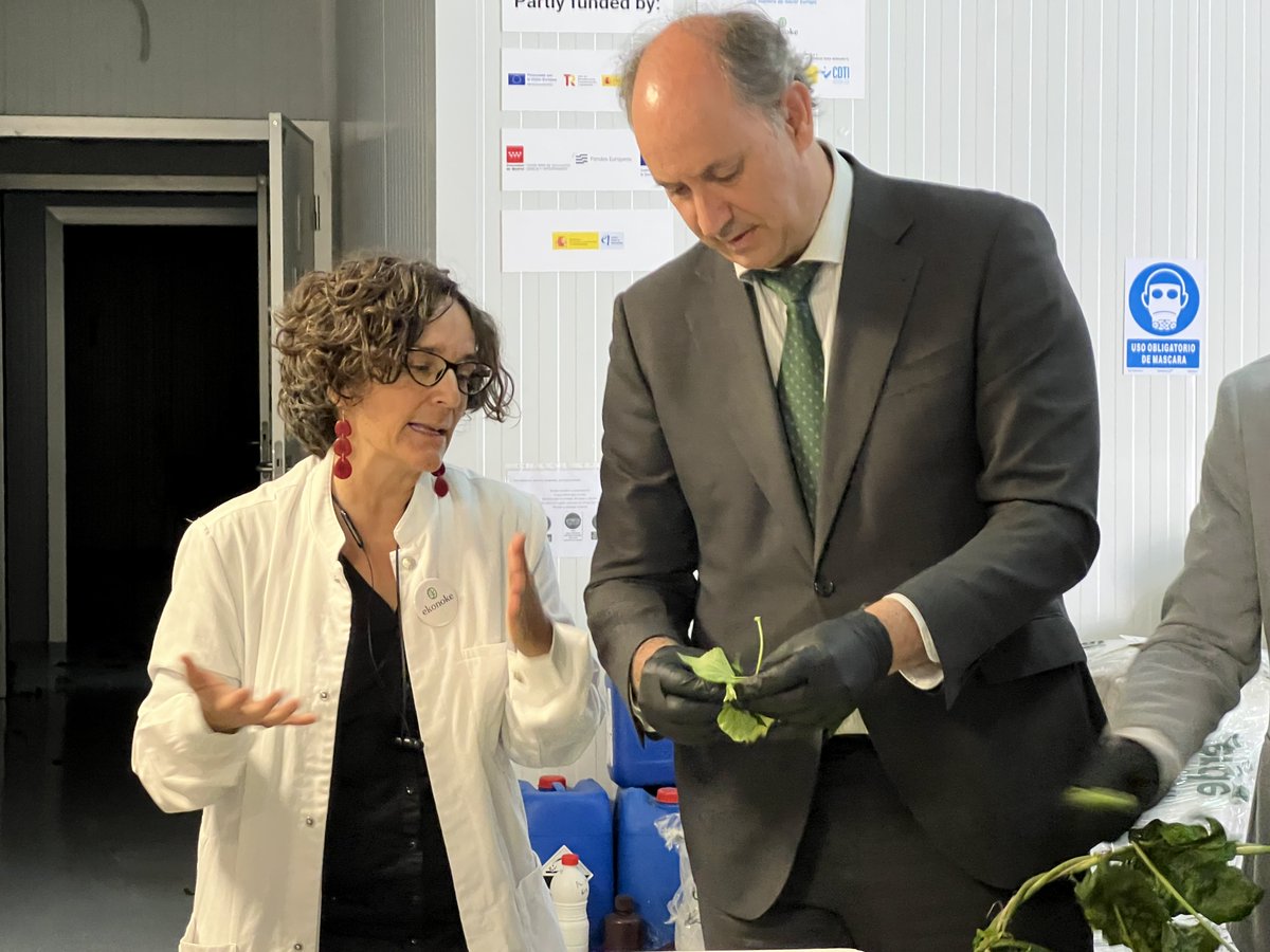 MLopezValverde's tweet image. En la @ComunidadMadrid ya impulsamos a 89 pymes en su camino hacia la #InteligenciaArtificial.
Hoy he visitado las instalaciones de @ekonoke_ , una startup que cultiva lúpulo en interiores de forma sostenible y controlada.
Están aplicando la #IA con sensores y datos para…