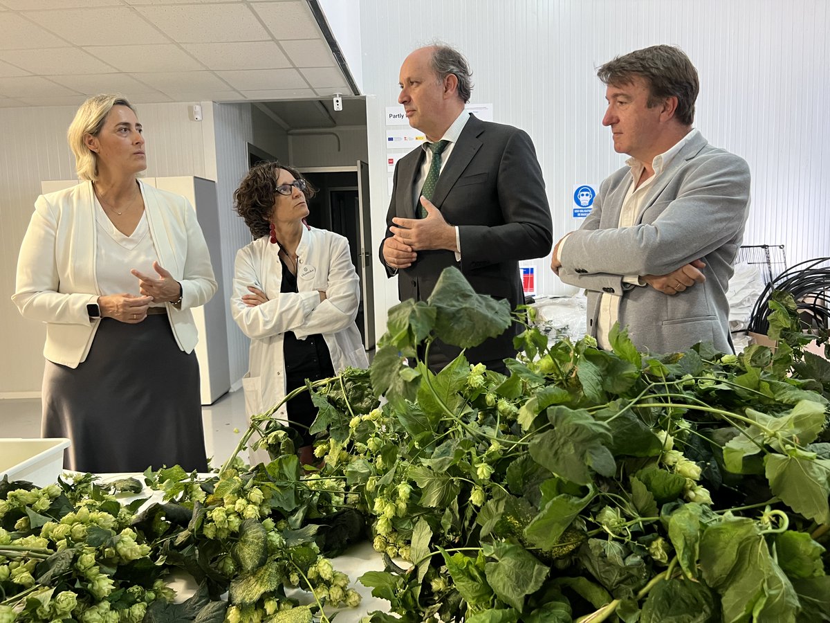 MLopezValverde's tweet image. En la @ComunidadMadrid ya impulsamos a 89 pymes en su camino hacia la #InteligenciaArtificial.
Hoy he visitado las instalaciones de @ekonoke_ , una startup que cultiva lúpulo en interiores de forma sostenible y controlada.
Están aplicando la #IA con sensores y datos para…