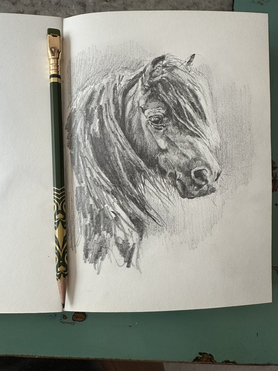 A friend sent me an envelope full of <a href="/Blackwing/">Blackwing</a> pencils awhile ago, telling me they would change my life.

ME: I don't know, Scott, I don't really work in graphite these days, I don't think I'll notice the nuances of—
ME: I NOTICE