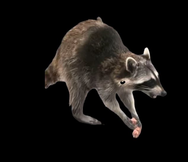 LOLAMARINA 🐋☮️NATURE Defender 🌊By land or by sea tweet media