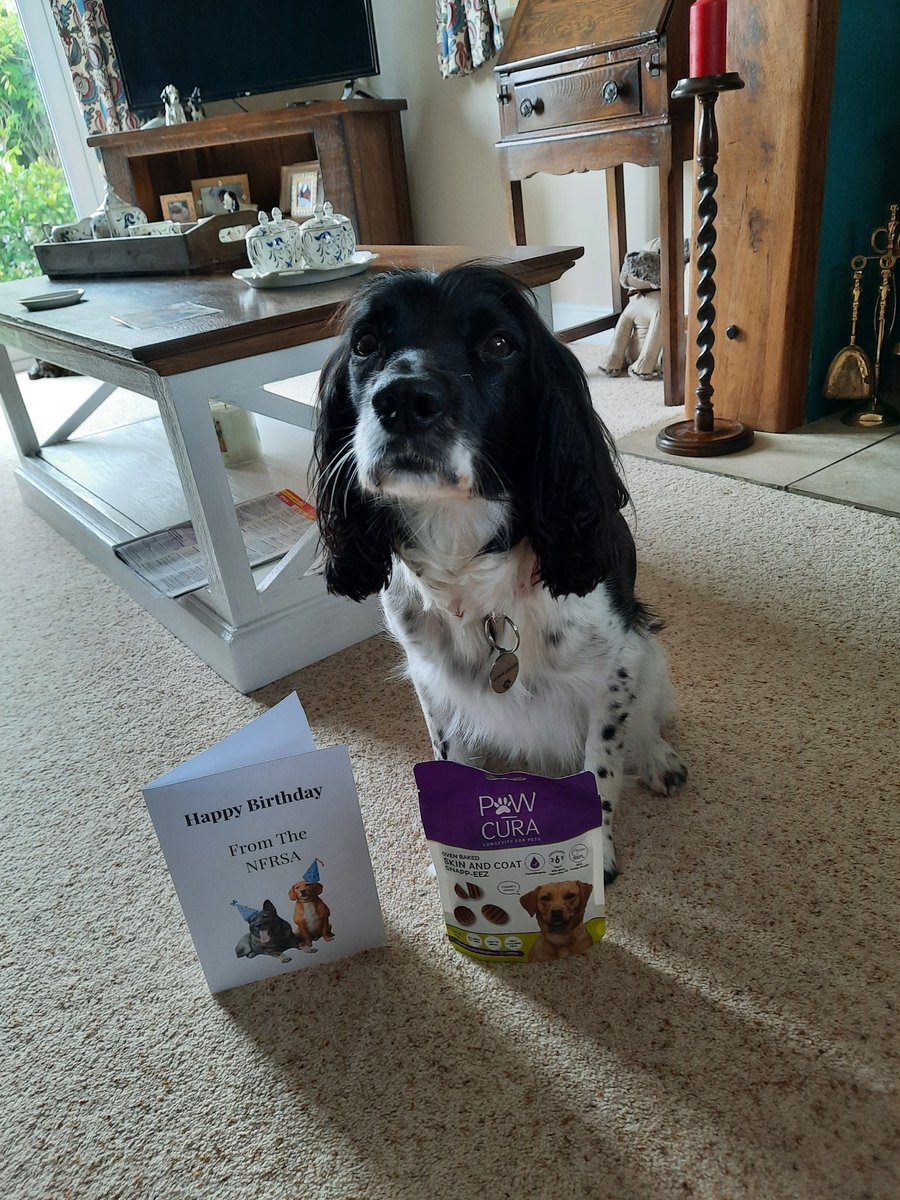 ClaireS48782850's tweet photo. @The_NFRSA Thankyou for my birthday card and yummy treats they're much appreciated 🐶🐾❤️ https://t.co/FeHHnOTgZA