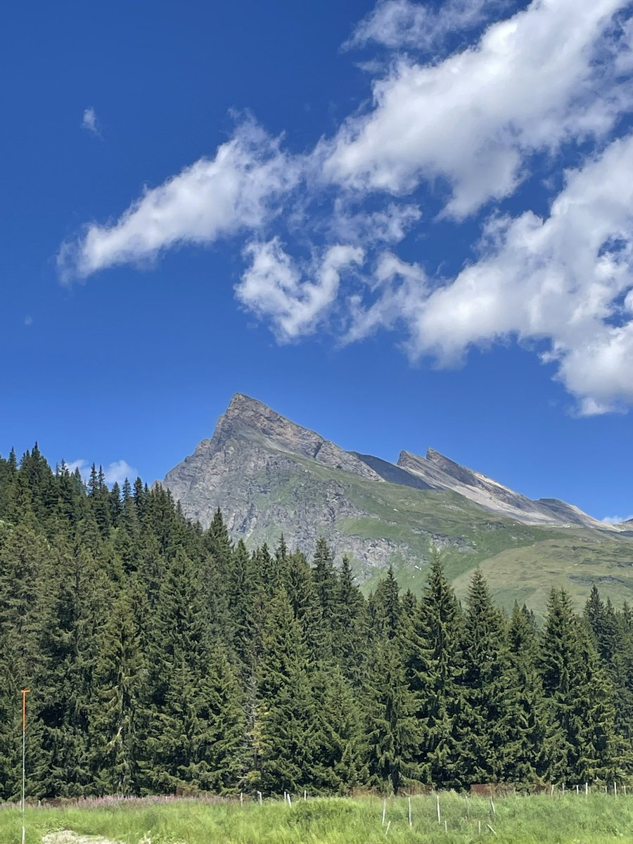 Earthbasedsoul's tweet image. Life is short, enjoy your journey on this beautiful living planet 💚
#foraging 🍄🟫
#alps