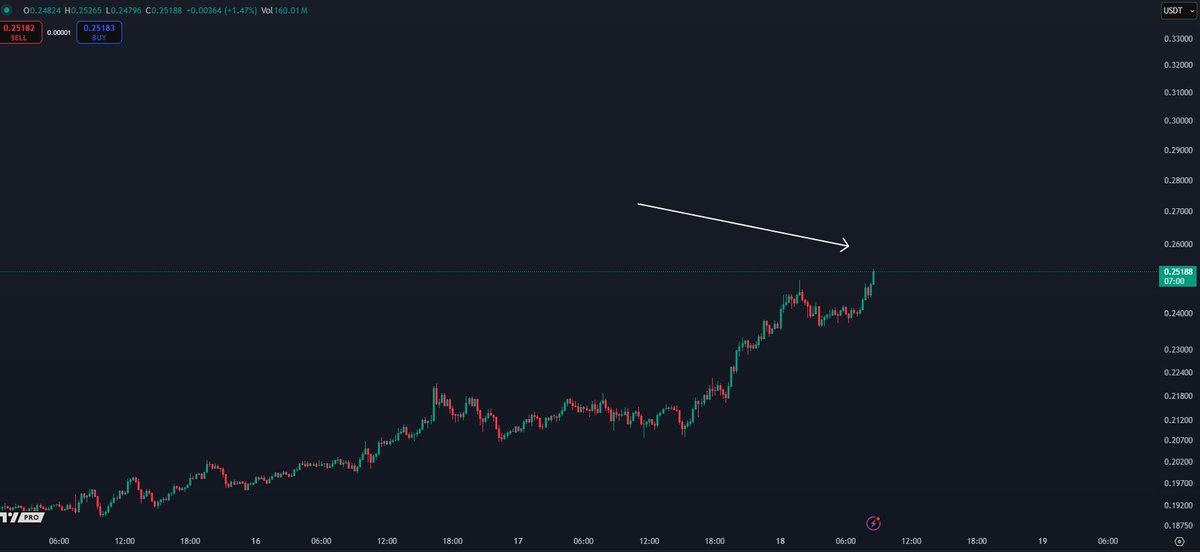 K A L E O tweet media