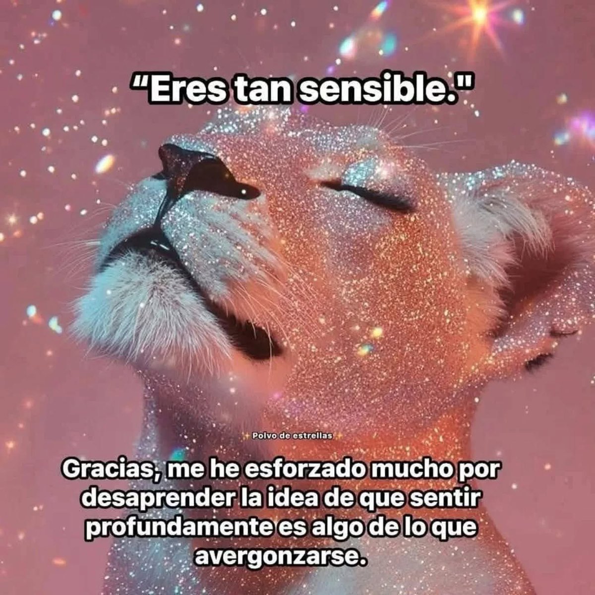 __AriesBaby_'s tweet photo. https://t.co/CtmRF0FJRD