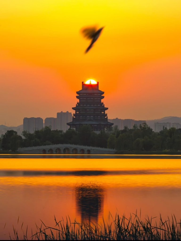 Chengdu_City's tweet photo. 7:12 AM at Dong’an Pavilion—soft morning light spills over the eaves, turning the red beams gold and the lake glassy calm. ✨
#donganpavilion #Chengdu #chengducity https://t.co/pCL578POXh