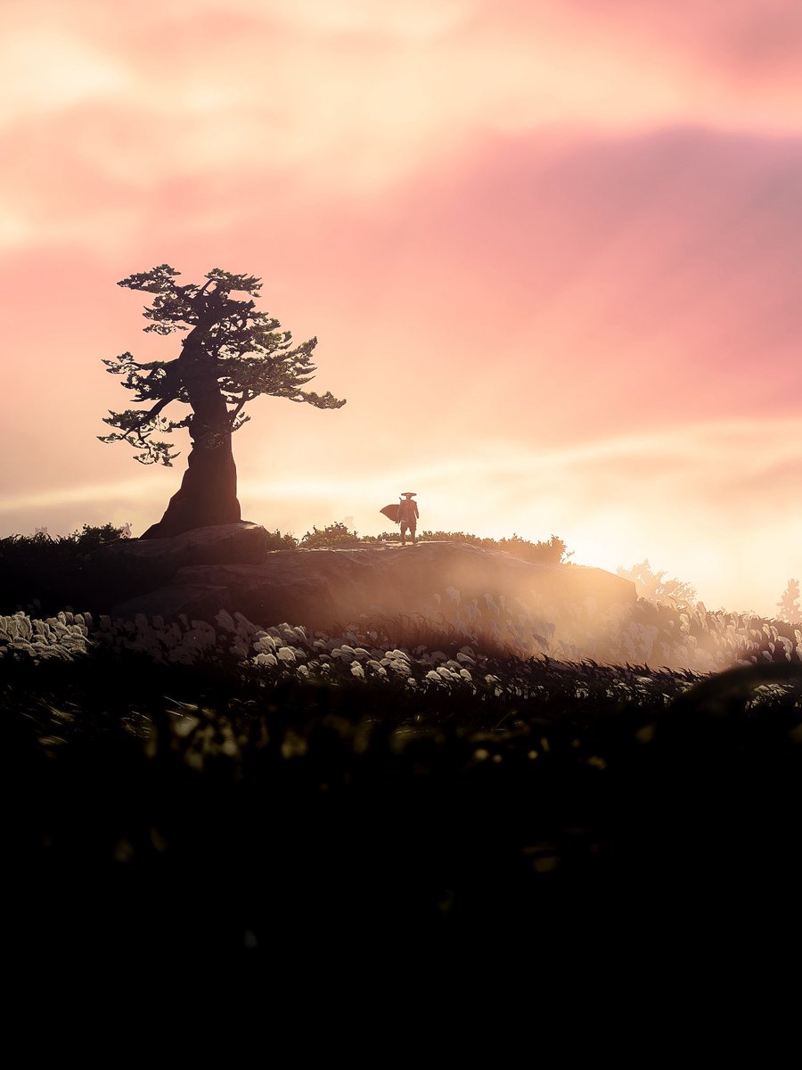 Gamography tweet media