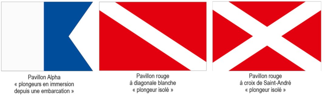 Premarmed's tweet photo. #LeSaviezVous? la mer est un espace où se pratiquent différentes activités. Pour la liberté de tous, je respecte la pratique de chacun.
Lorsque vous naviguez, restez au moins 100mètres du navire ou de la bouée isolée par assurer la sécurité des plongeurs ! #PrudenceEnMer https://t.co/8hkL8jb8kM