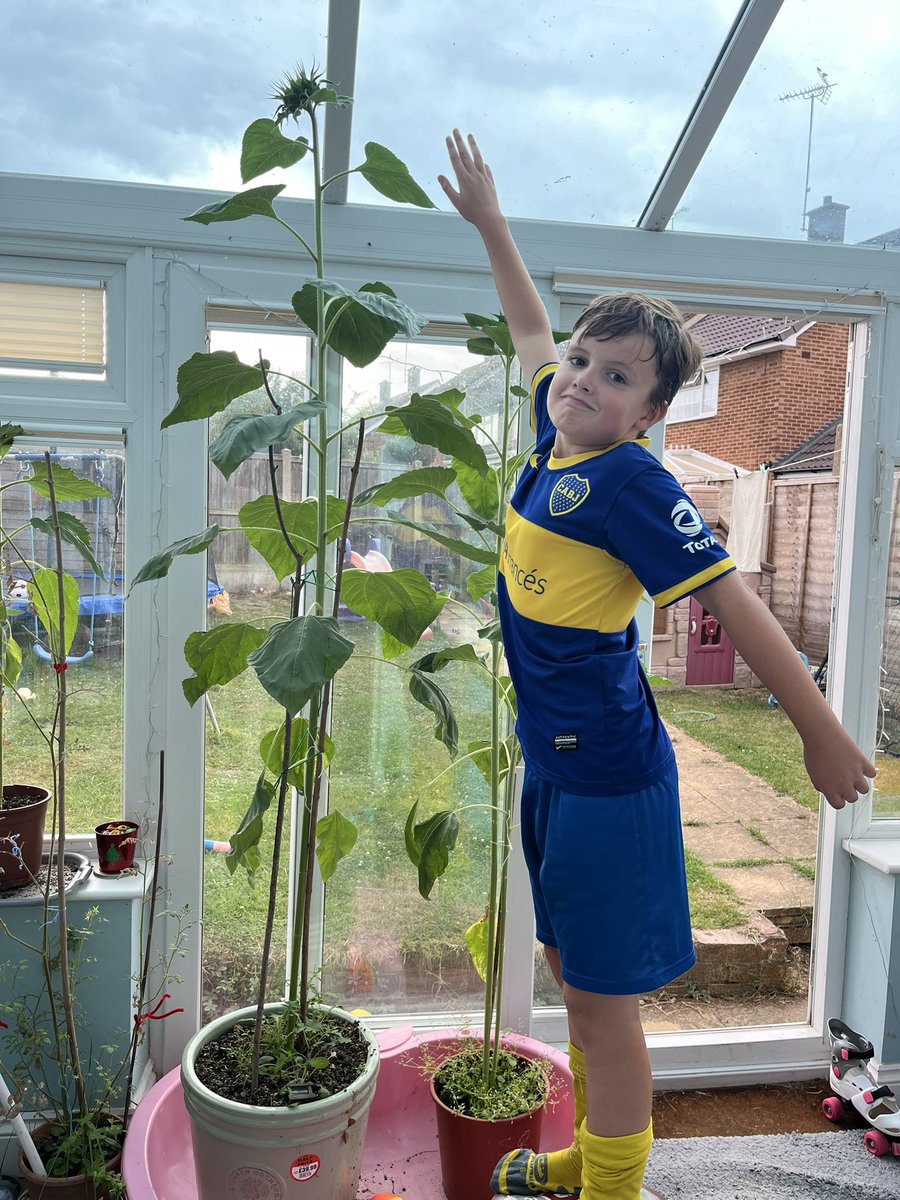 James 4C- 194cm
Penelope 1C- 180cm <a href="/HogarthPS/">Hogarth Primary School</a>