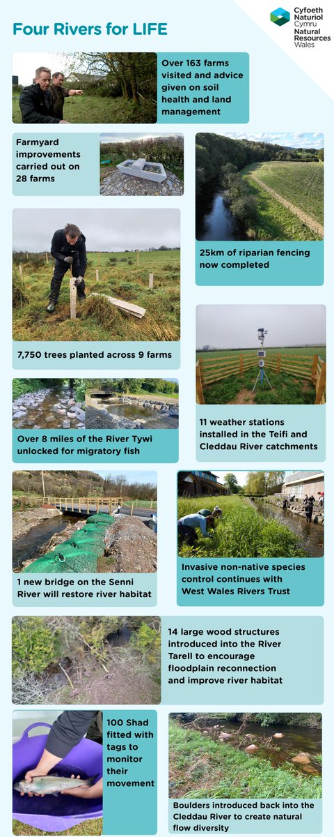 4AfonLIFE's tweet image. We are over half way through our project and looking back here are some of the highlights so far for us as a team 👍
#riverrestoration #Teifi #Tywi #Cleddau #Usk