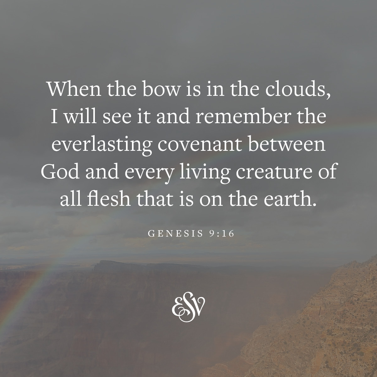 crossway's tweet image. When the bow is in the clouds, I will see it and remember the everlasting covenant between God and every living creature of all flesh that is on the earth.
—Genesis 9:16 (ESV)
#Verseoftheday #ESV #Bible