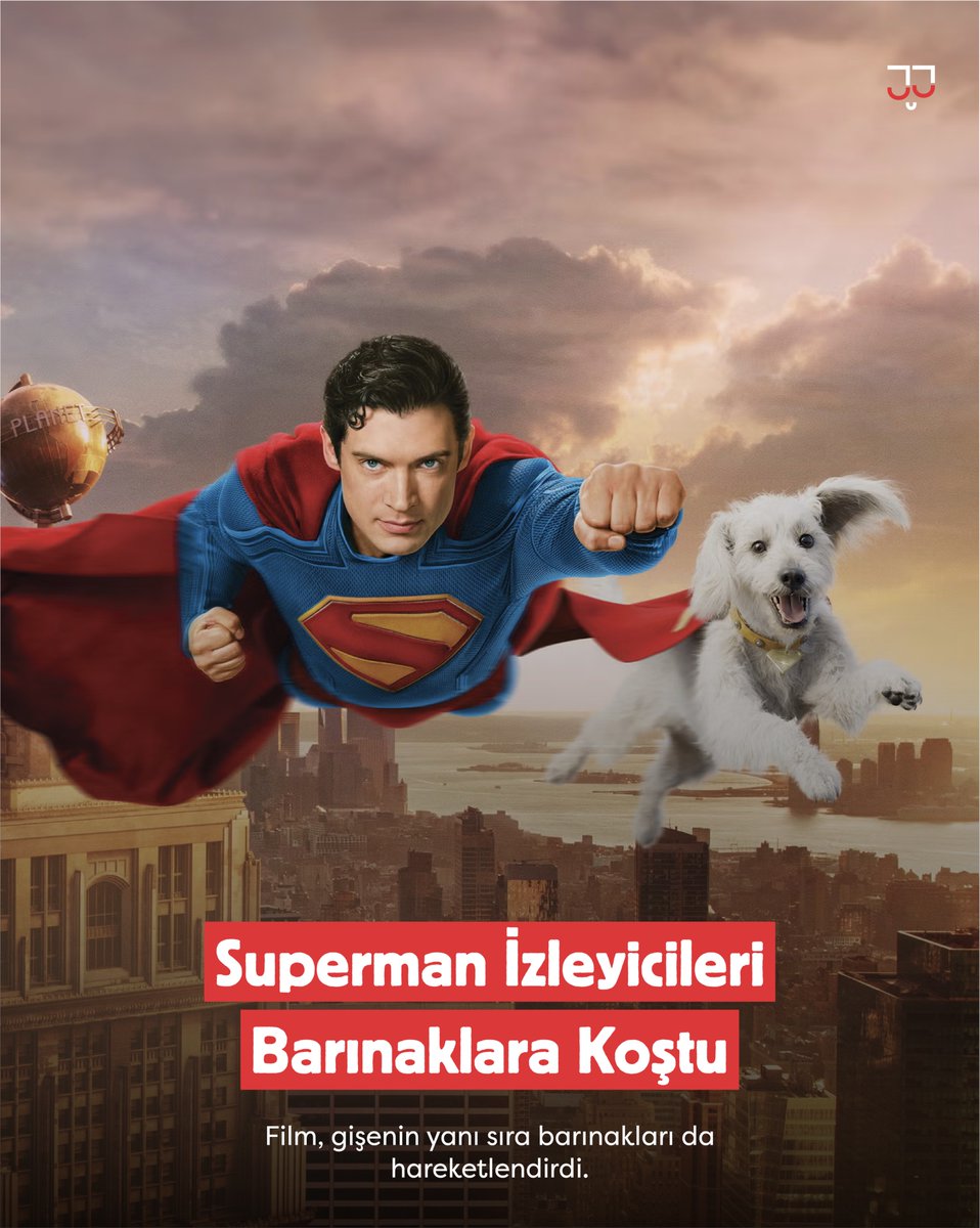 Superman’in süper köpeği Krypto’nun etkileyici sahneleri, ABD genelinde barınaklardan hayvan sahiplenme oranlarında şaşırtıcı bir artışa neden oldu.

Google'da ülke genelinde köpek sahiplenme aramaları %500'lere çıktı, 454 patili dost evine kavuştu.

bit.ly/4lyeq7X