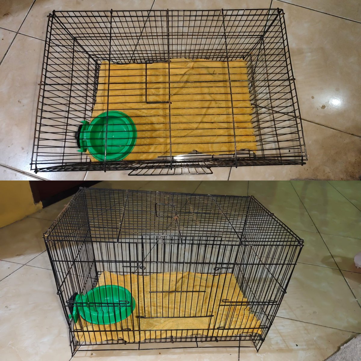 tebsiee's tweet photo. @unicelounge yg butuh kandang kucing 25k aja (boleh nego) ambil di gg cempaka https://t.co/p1wOuI7Czr