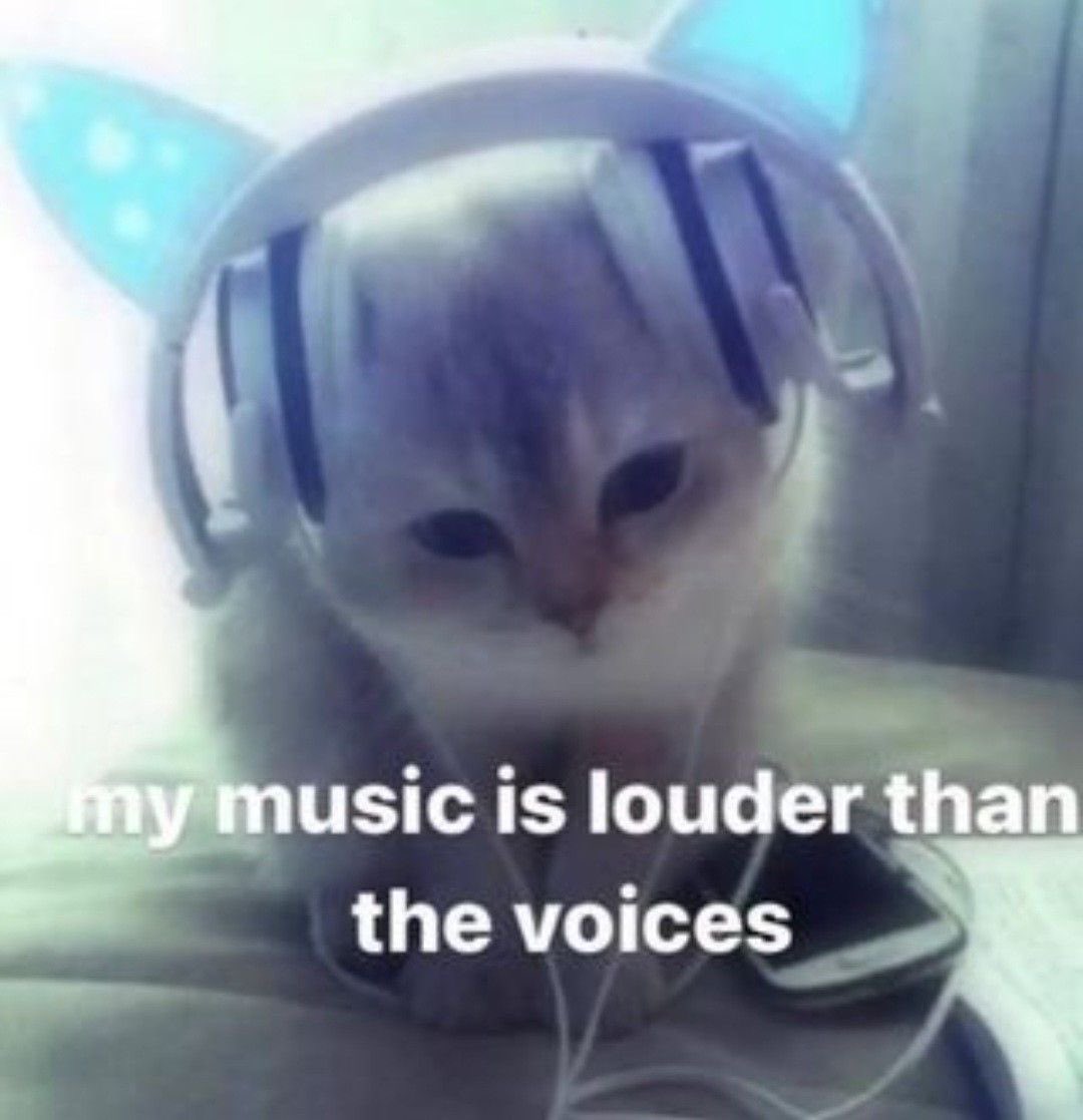 cats being cats (@catsbeiingcats) on Twitter photo 