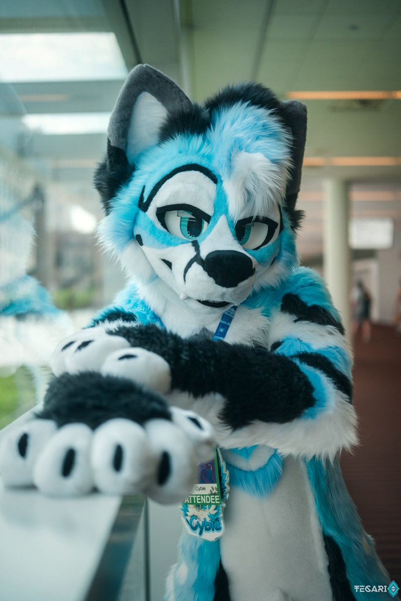 CybrFur's tweet image. A little dreaming can make you feel so good!
🧵 @sheenitude
📸 @tecariowolf
