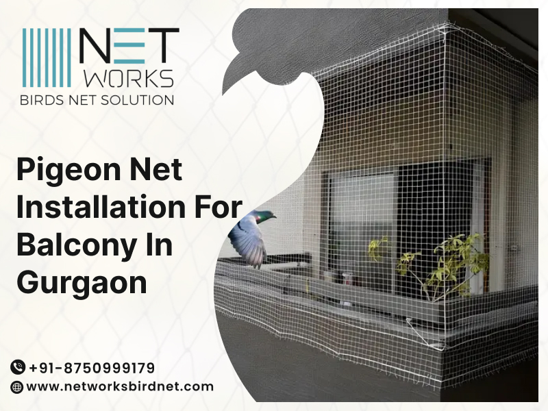 networksbirdnet's tweet image. Keep your balcony clean and bird-free with Networks Bird Net in Gurgaon!
We provide durable and safe pigeon net installation for balconies, windows, and open spaces.
📞 Book your Pigeon net installation today!
Visit: posts.gle/h6o6fE
#PigeonNetGurgaon #BirdNetInstallation