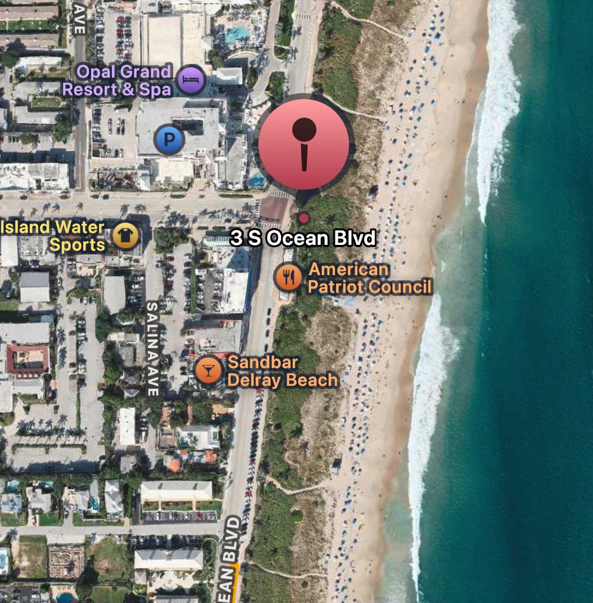 FAUAthletics's tweet image. Be on the lookout 👀 your Hometown Team is hitting Delray Beach this morning! You never know what surprises are coming your way!
#WIP🏝️