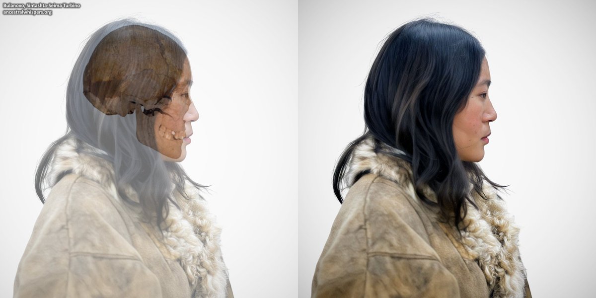 Sulkalmakh's tweet photo. Facial reconstruction of a girl from Bulanovo, belonging to the Sintashta culture and buried with Seima-Turbino artifacts.

Cranially a Siberian outlier. Her skull was very large, 158mm wide, 171mm long, and 147mm in cheek width, wider than the average Sintashta male. https://t.co/v0R9hQGS2a