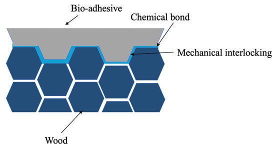 Materials_mdpi's tweet image. #MDPIMaterials
📒A Novel Technique for Substrate Toughening in Wood Single Lap Joints Using a Zero-Thickness Bio-Adhesive. 
 
✏️Authored by: Shahin Jalali et. al. 

🔗mdpi.com/1996-1944/17/2… 

#OpenAccess #Adhesive #MaterialsScience