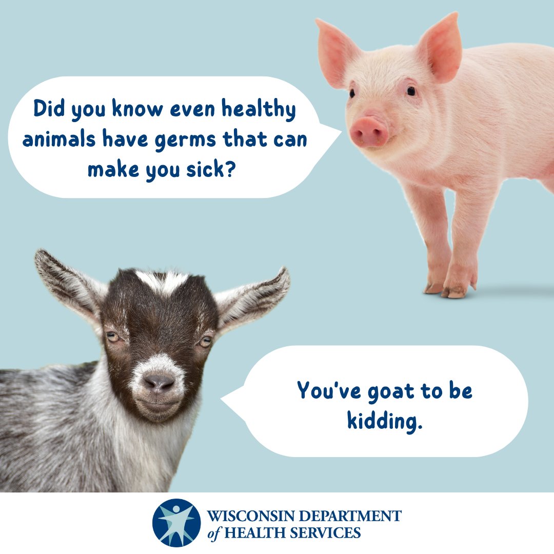 DHSWI's tweet image. Heading to a #fair or petting #zoo? Maybe you're working with your own #livestock. Whenever you're around animals, be sure to wash your hands-especially after petting them-to keep from getting sick. Learn more at dhs.wisconsin.gov/publications/p…
#Wisconsin #countyfairs #fairseason