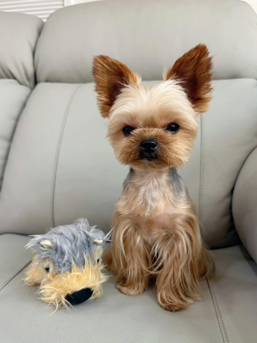 all for 仪 🩷 tweet media