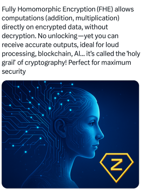 To091294's tweet photo. Fully Homomorphic Encryption (FHE) allows computations directly on encrypted data, without decryption. No unlocking — yet you can receive accurate outputs, ideal for loud processing, blockchain, AI.. Perfect for maximum security..#ZamaCreatorProgram and @zama. https://t.co/M1Gq0hq85Q