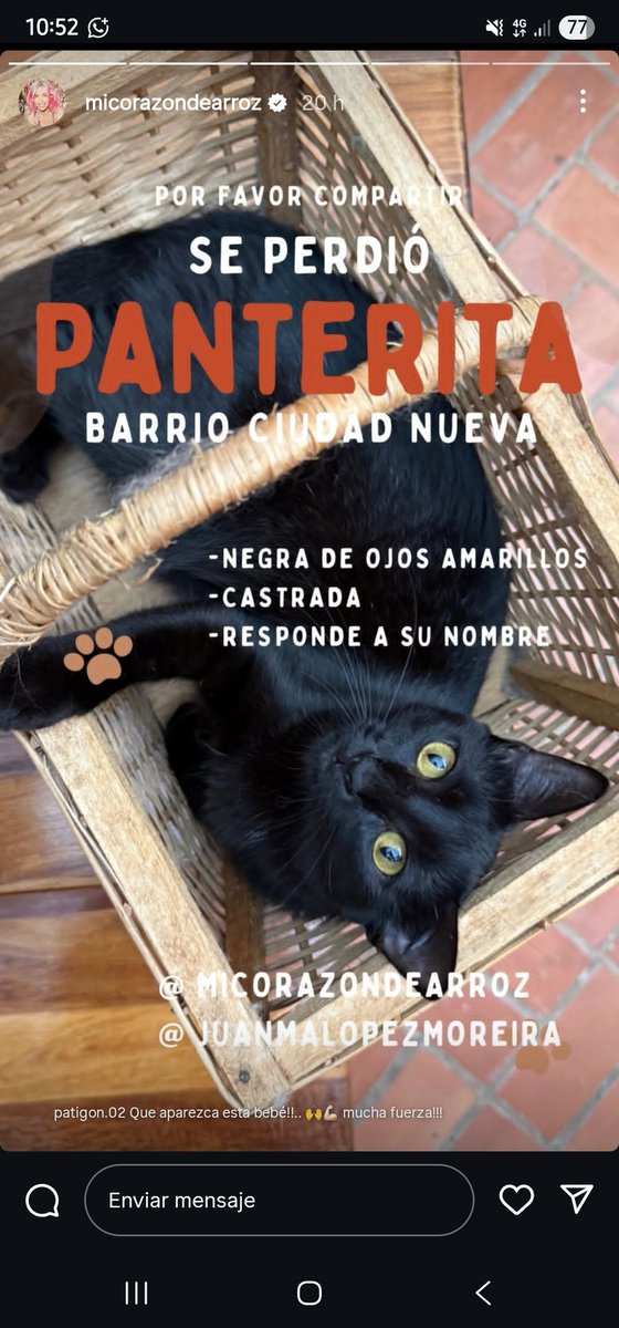 Por favor compartir 🐱🐈‍⬛