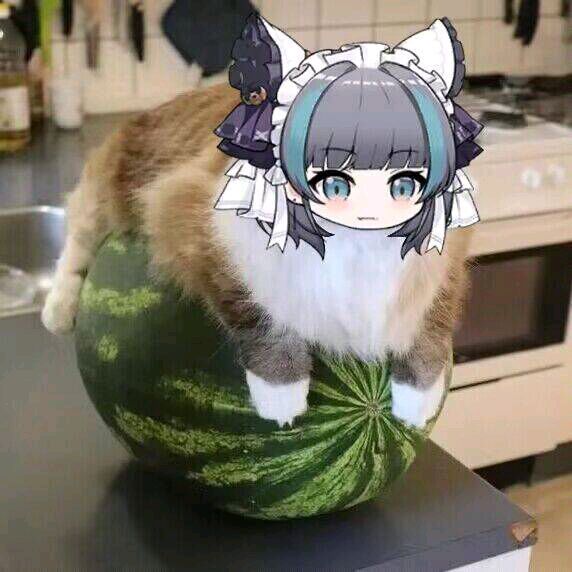 西瓜柴郡