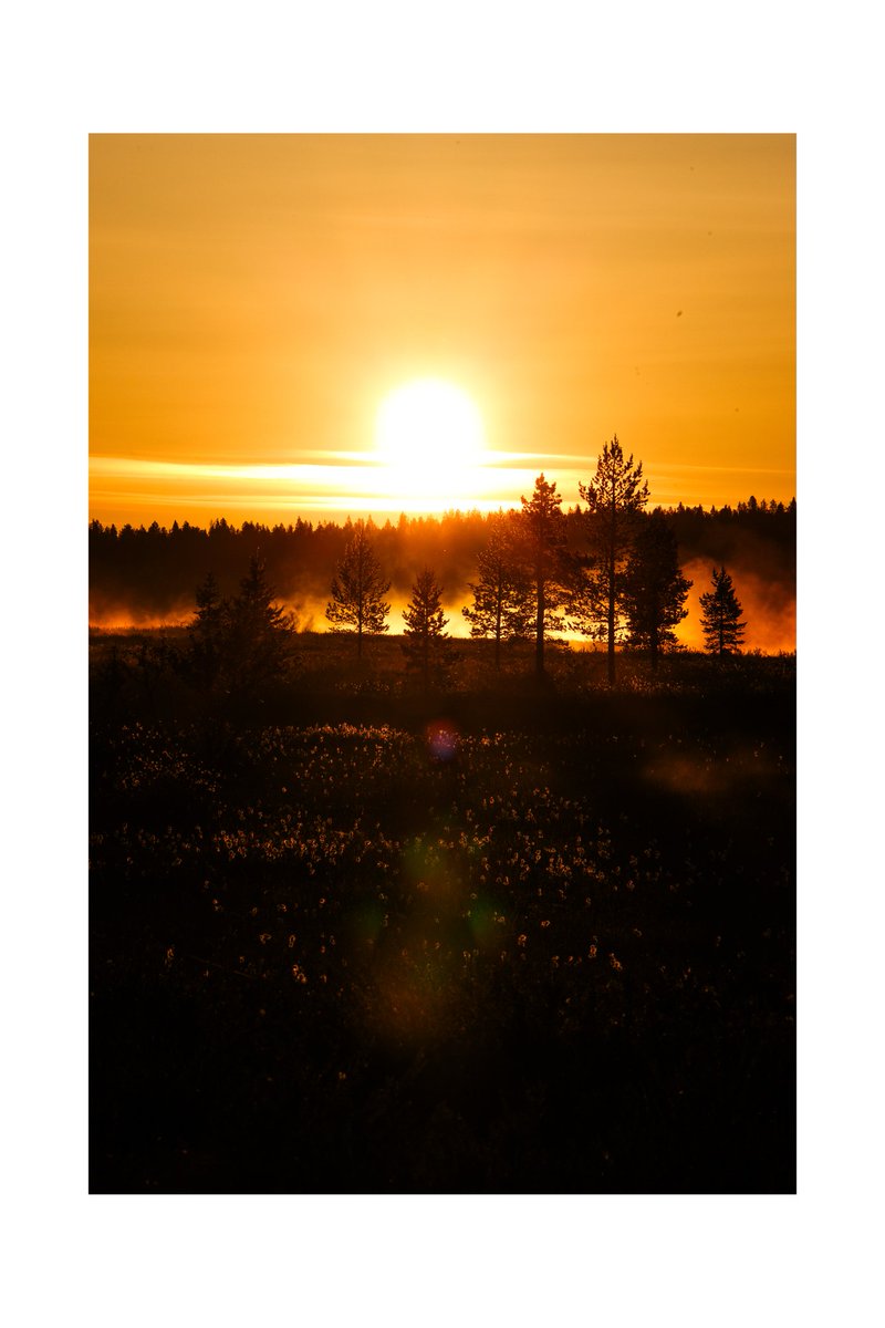 FlavioReber's tweet image. A photo I took at 3am in Norway 🇳🇴