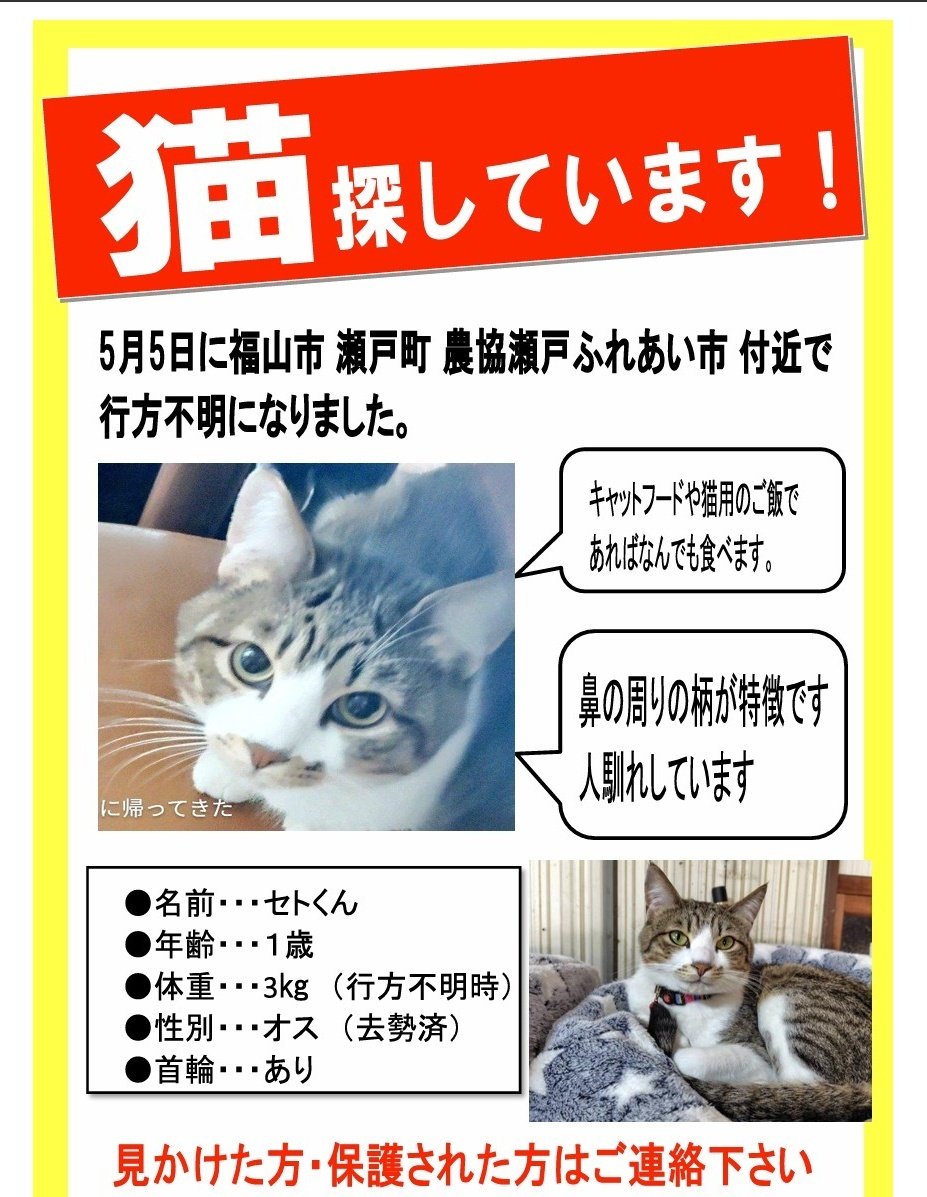 SeTokun111's tweet photo. 7月18日現在
枠田池付近で目撃情報と瀬戸川住宅で目撃情報がありました　
センサーカメラとエサを設置していますが見つかっていません
捕獲器も2台用意できます
近くにおられる方で見かけた方情報提供お願いします些細なことでもこちらのDMに連絡お願い致します
#迷子猫　#福山市　#広島県 https://t.co/JMse9HYeK3