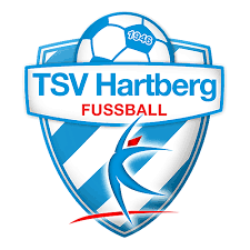 Que tal la polera del Turn- und Sportverein Hartberg  de AUSTRIA? Y asi critican las poleras de los clubes de centroamerica???