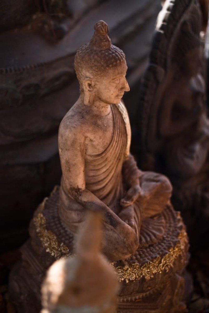 JoshBulriss's tweet image. "Surrender to what is. Let go of what was. Have faith in what will be."