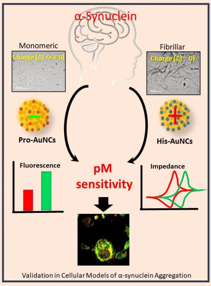 Sharmistha Sinha tweet media