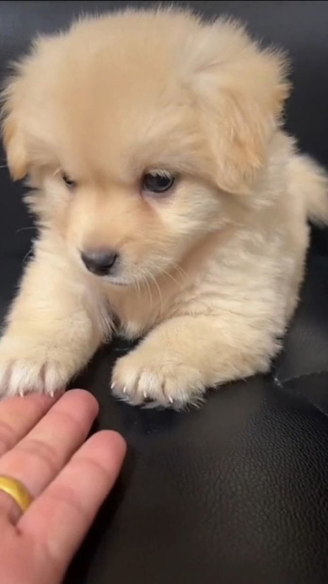 おすすめ欄浄化します