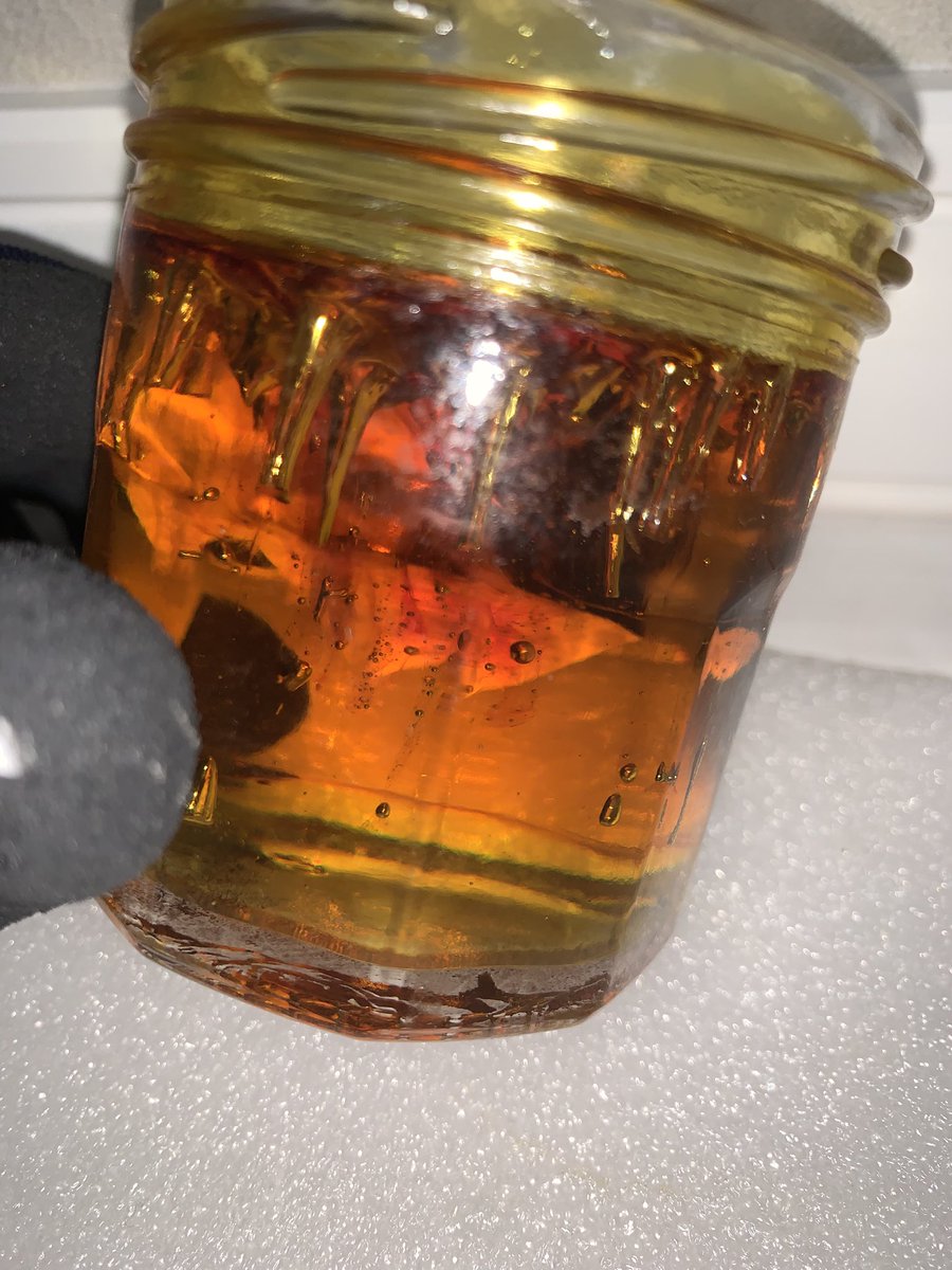 THUG_GUYS_Ch's tweet image. ⚡️🍯⚡️🍯《芸術》🍯⚡️🍯⚡️