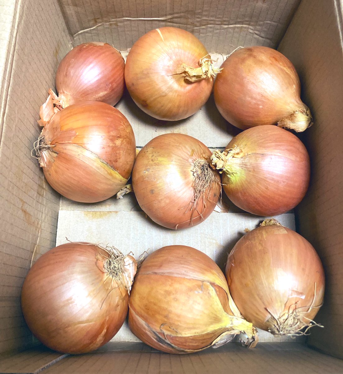 ダイばっちゃんの孫の大冒険 on X