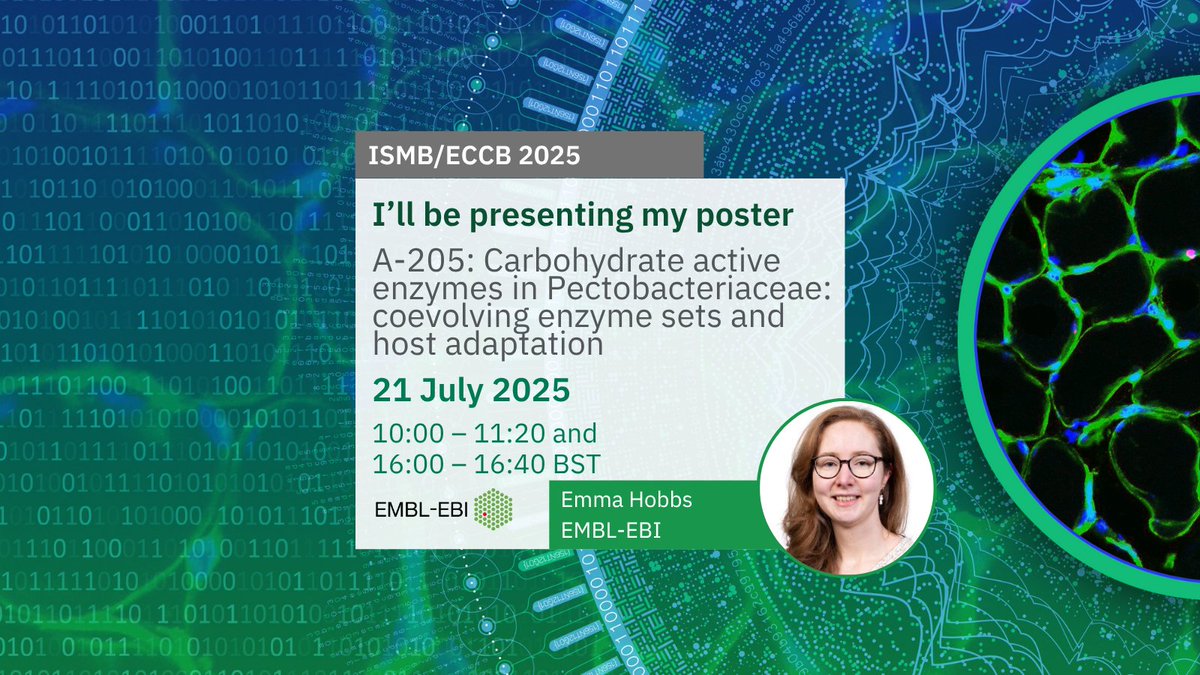 InterProDB's tweet image. 🧬 The InterPro/Pfam team will be presenting at #ISMB2025 next week in Liverpool!
🎤 Multiple talks &amp;amp; 📊 posters on protein analysis &amp;amp; classification