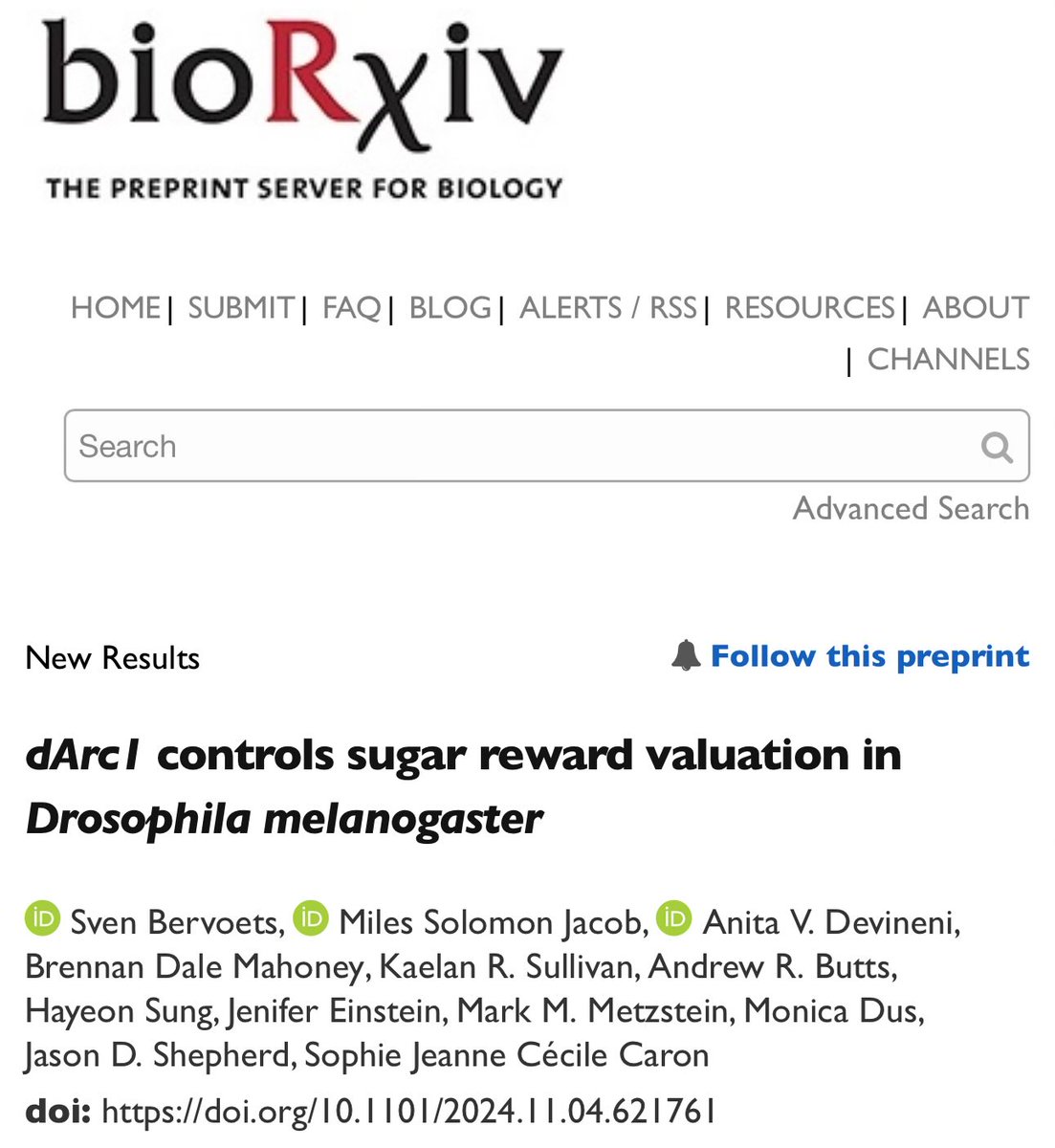 JasonSynaptic's tweet image. This paper with Sophie Caron now ACCEPTED at @CurrentBiology! Congrats @BarefeetSven! (He’s on the job market now folks). Stay tuned for the final version.