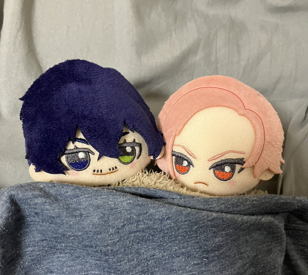 namahamupomme's tweet image. 相方の家遊びに来たらベッドがorsnになってた🐍🦊💗
