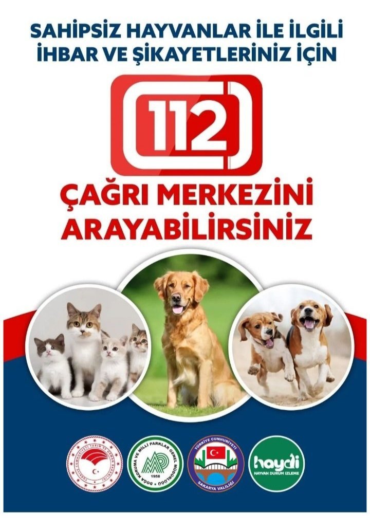 Başıboş kediler için 112 çağrı merkezini arayabilirsiniz. Eğer "biz kedi-köpek şikayetleri almıyoruz, belediyenizi arayacaksınız" cevabı alırsanız Cimer şikayeti yapıyoruz. Sonuç alana kadar şikayete devam edelim.