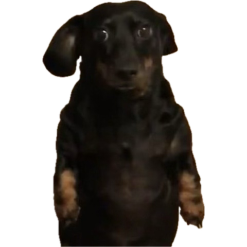 안녕하세요... 오랜만이죠?
제가 요즘 한국아저씨 좋아하느라 좀 바쁩니다...
궁금하시다면 비계를 알려드려요
은밀하게흔적남겨주시면됩니다.....