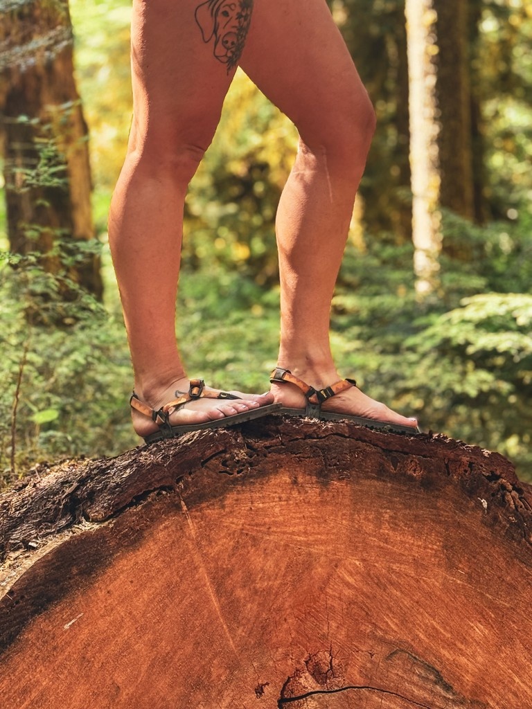 LUNAs on, forest underfoot, feeling everything nature has to offer 🌲

#barefootlife #runningsandals #runningfeet #run #runnersworld #barefootted #runfree #LUNASandals #borntorun #minimalistshoes #minimalistsandals #barefootlifestyle
