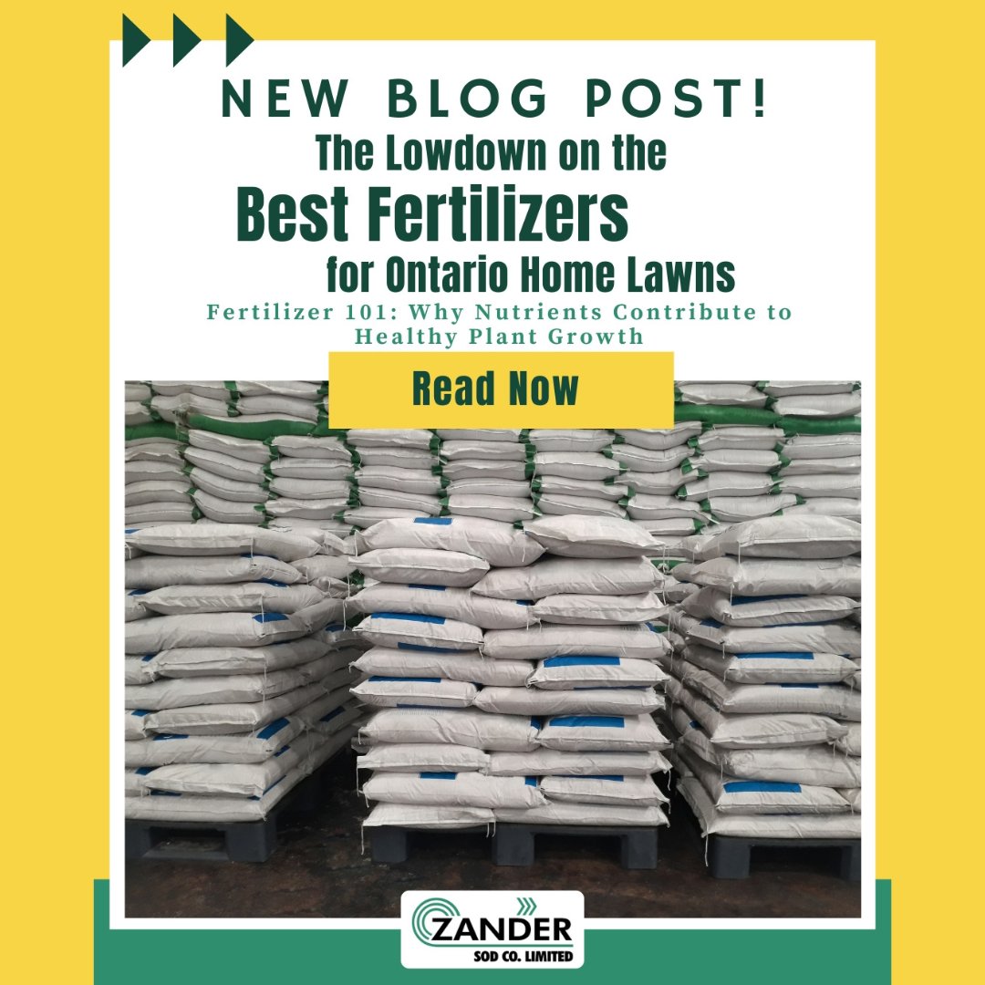 #Zander Sod has a new, updated blog called "Turf Tips". Our third installment breaks down the nutrients in Fertilizers and explains how why they are important for successful growth!

CHECK IT OUT HERE: l8r.it/6KP6